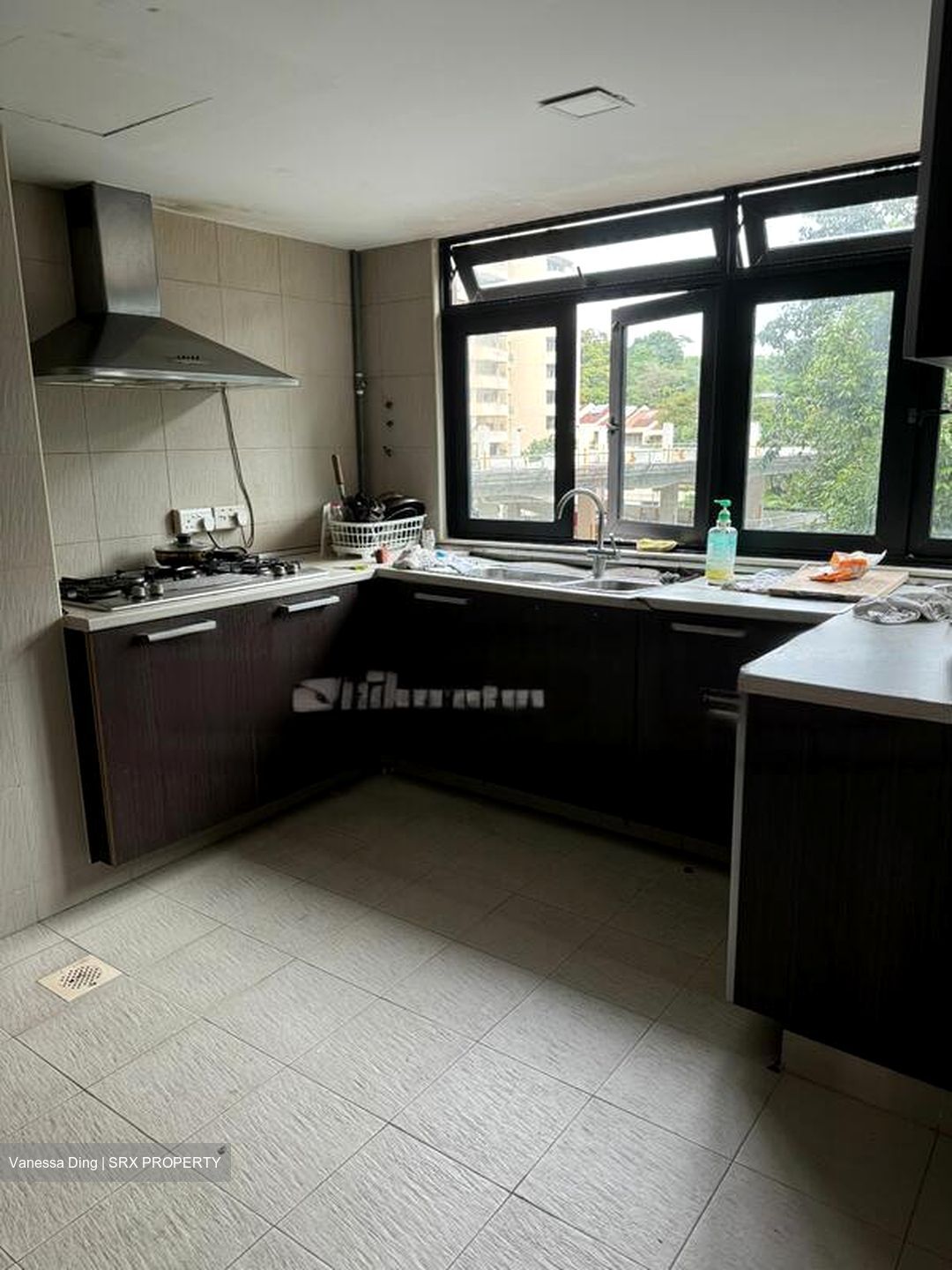 Pandan Valley (D21), Condominium #462846381